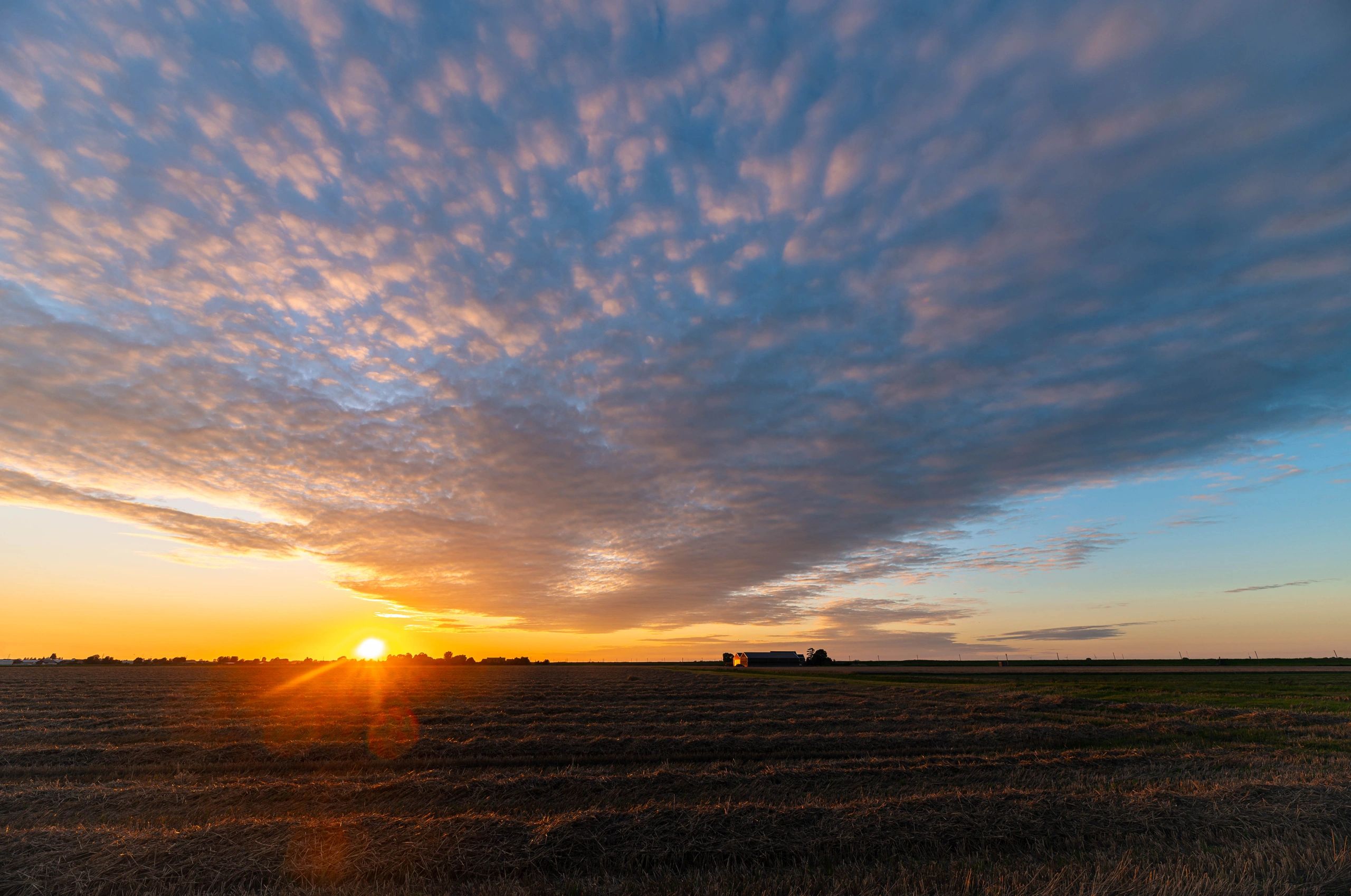 Colorful sheep clouds during sundown
